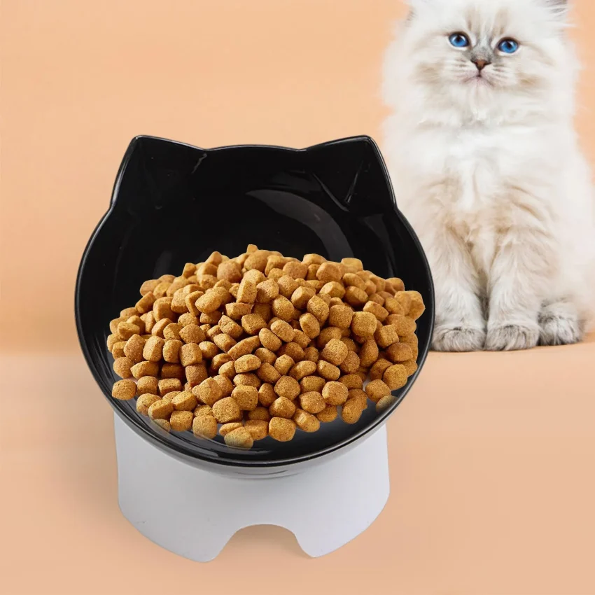 Katze frisst Nassfutter aus Napf – Katzenfutter Test 2026