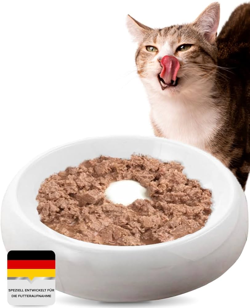katze frisst hochwertiges katzenfutter